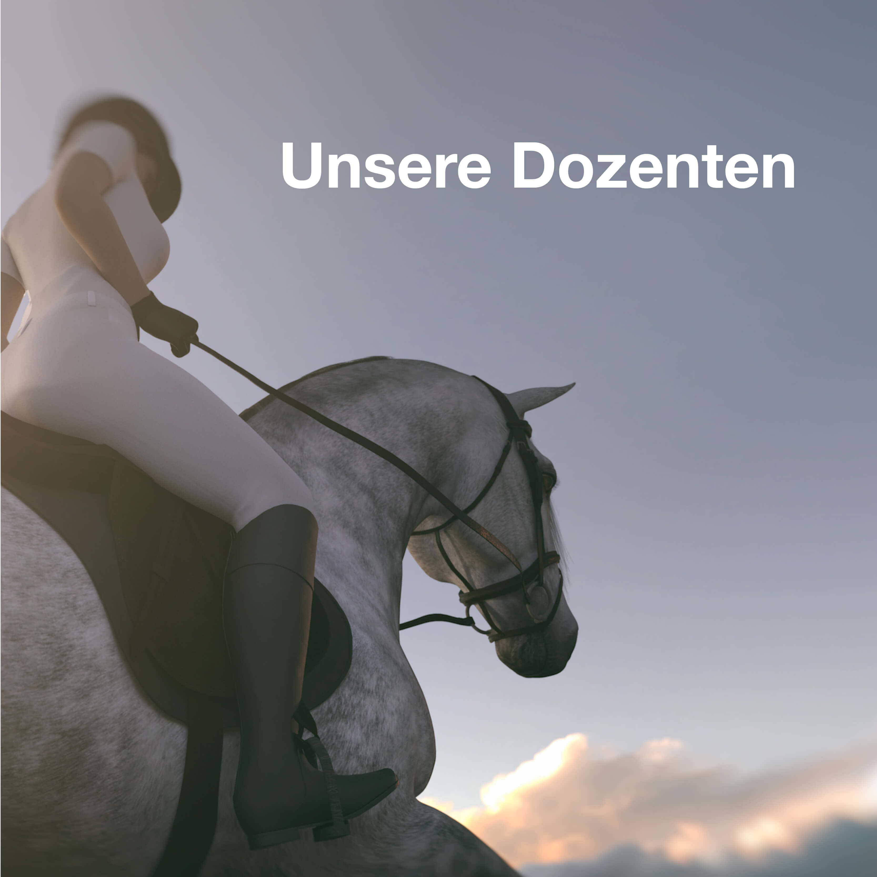 Die Dozenten der Nanny Akademie sind fachkundige Experten in ihrem Gebiet.