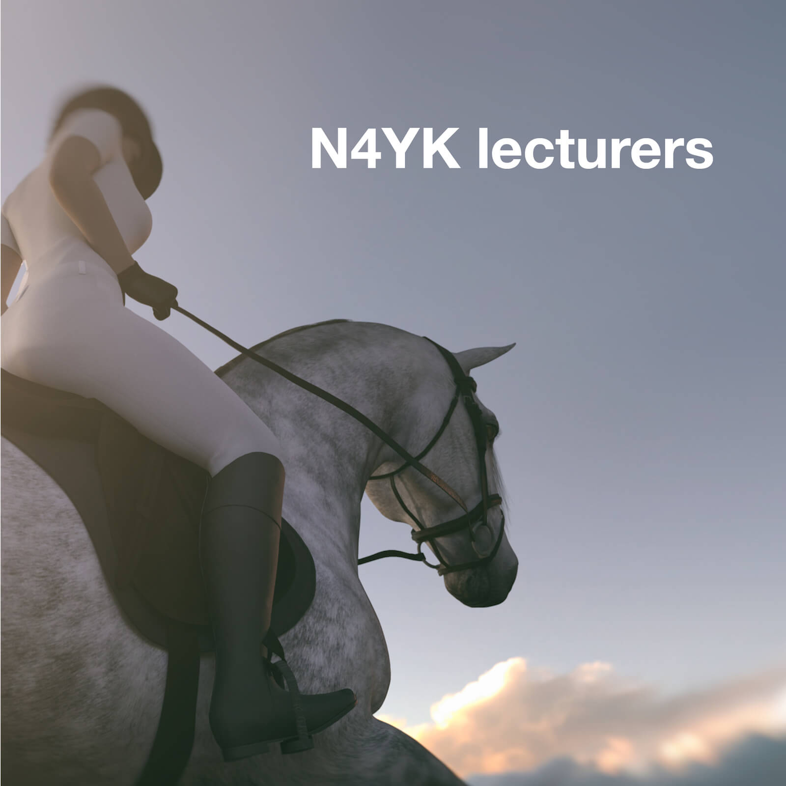 professional and qualified lecturers at N4YK