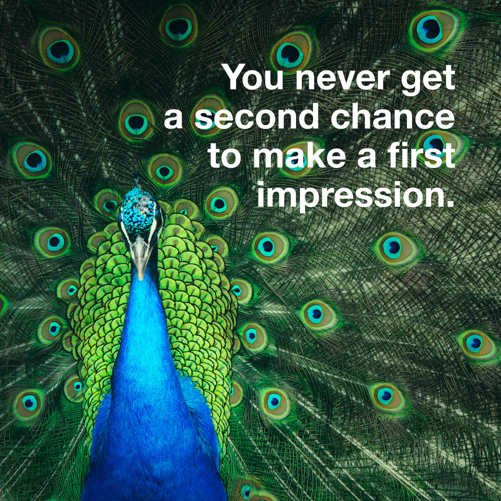 You never get a second chance to make a first impression