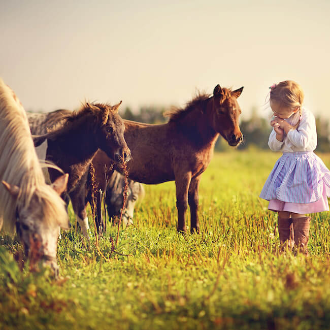 Tierliebe Nanny aufs Land gesucht. Stellenangebote fuer Hauspersonal Tierliebe Nanny aufs Land gesucht. Stellenangebote fuer Hauspersonal